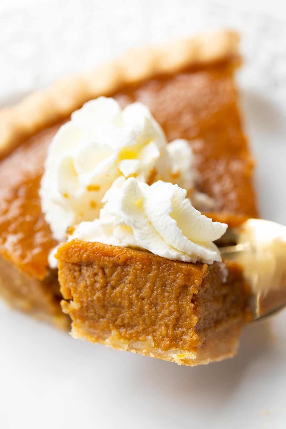 Closeup view of pumpkin pie with a piece of it on a fork