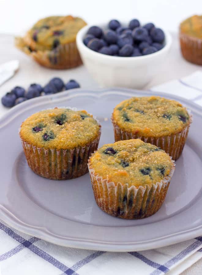 3 coconut flour blueberry muffins on gray/blue plate