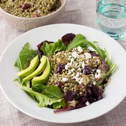 close up shot of lentil salad over greens in white bowl