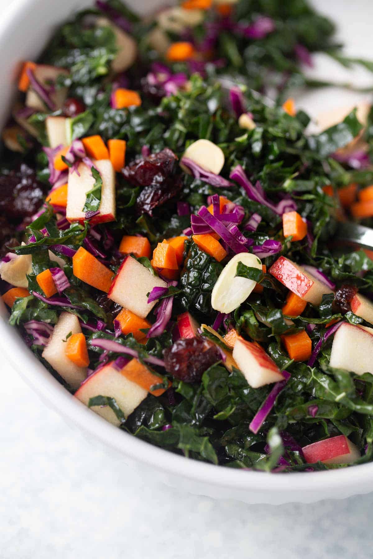 close up shot of kale salad with cranberries