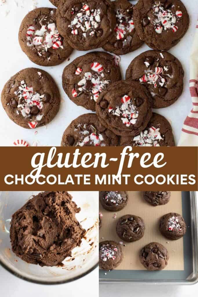 image for pinterest of gluten free chocolate mint cookies and how to make the dough