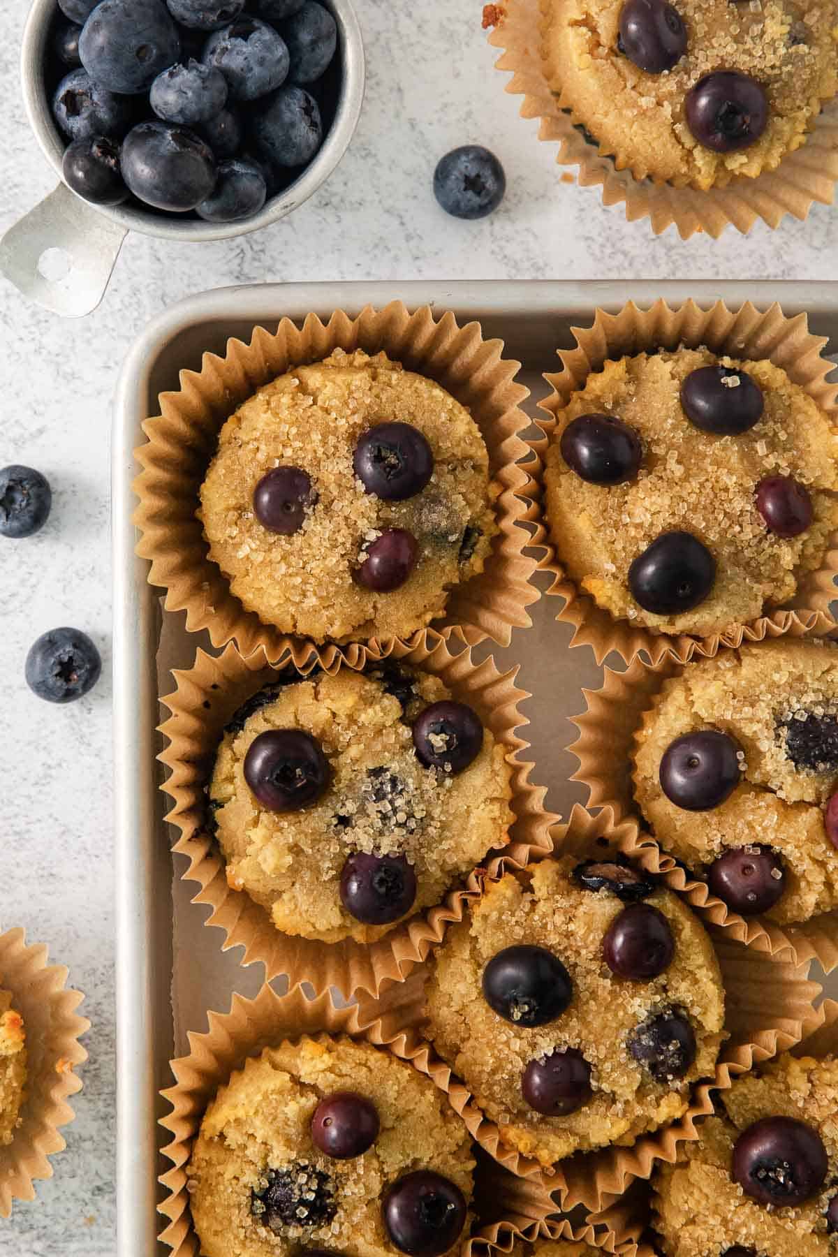 A close-up photo of coconut flour blueberry muffins in a baking dish