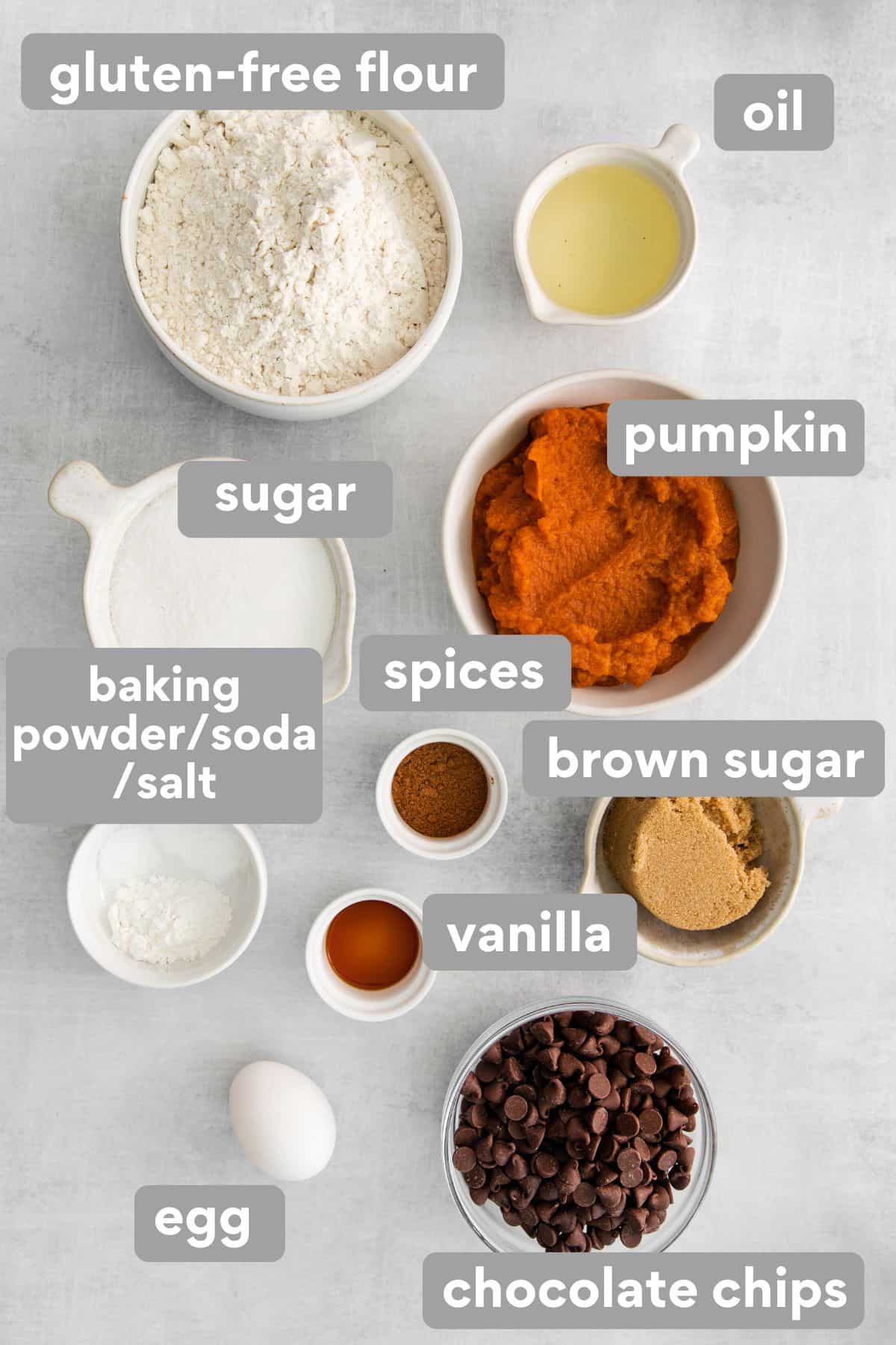 Ingredients for pumpkin chocolate chip cookies on a counter top