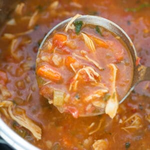 chicken tortilla soup in ladle in instant pot
