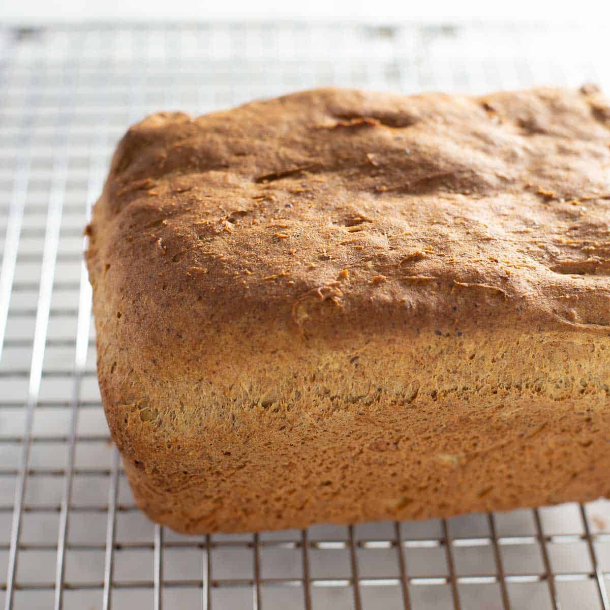 Easy Gluten Free Bread Recipe That Anyone Can Make