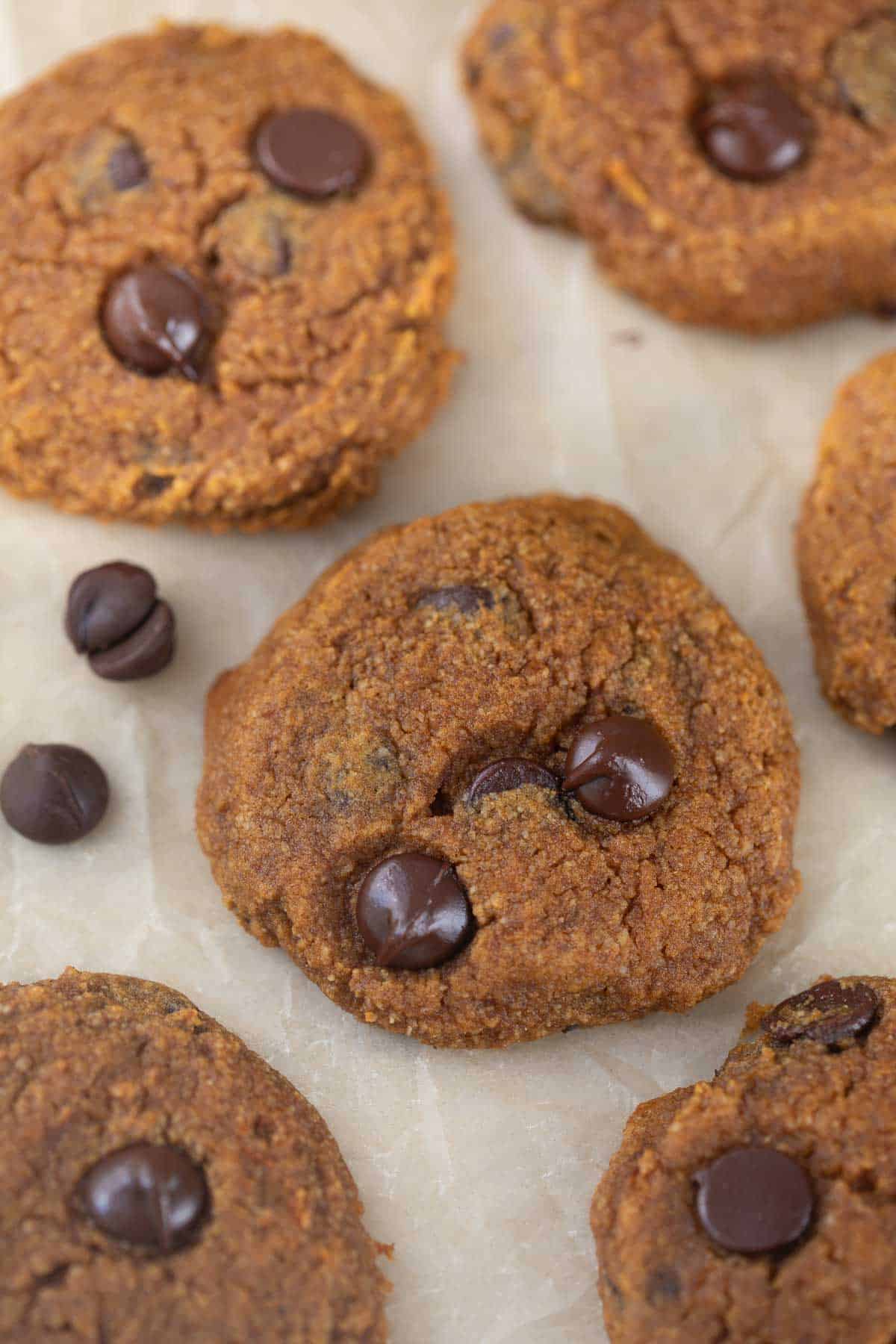 healthy pumpkin cookies with chocolate chips, cooling on parchment paper