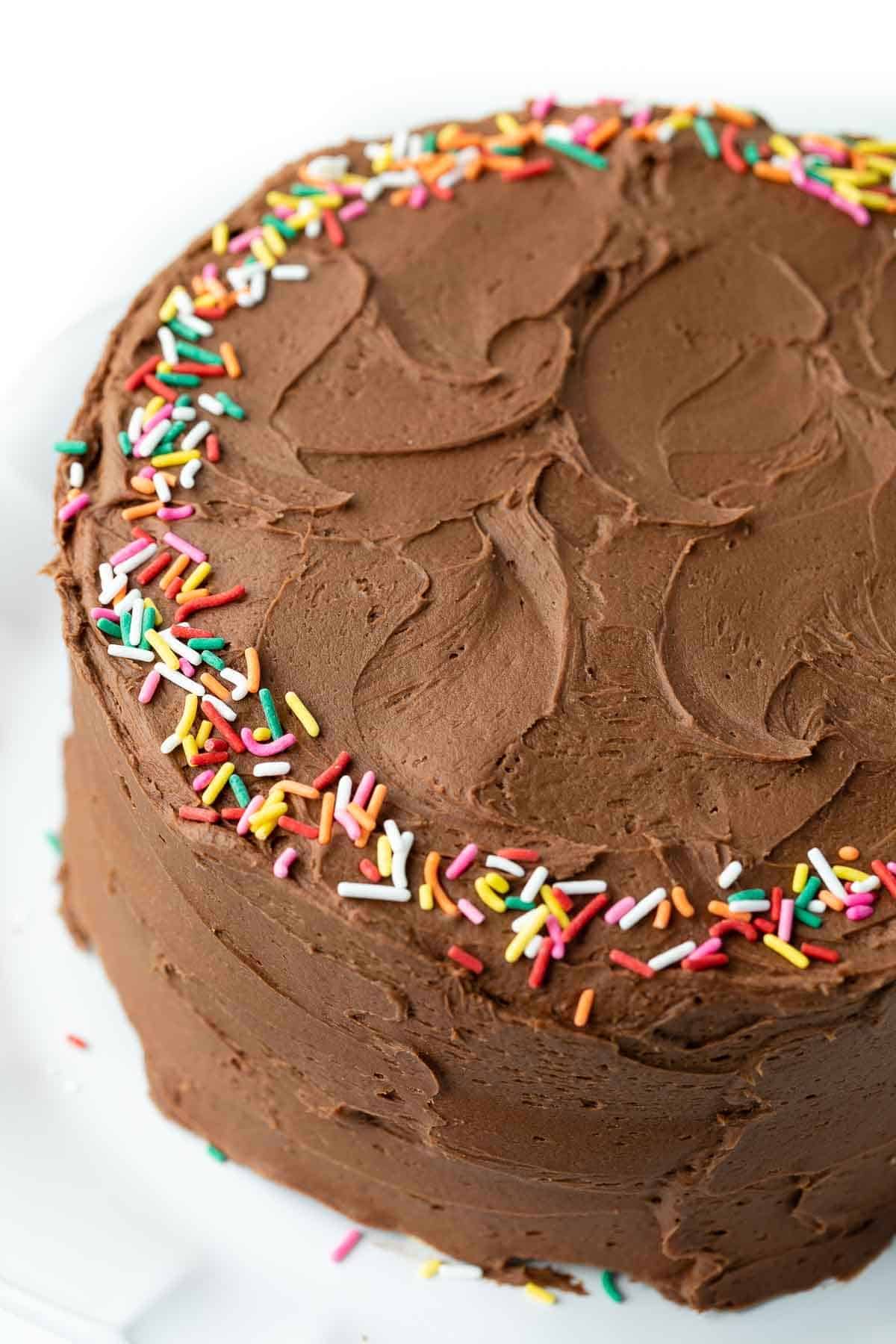 Round, layered birthday cake with chocolate frosting and a ring of colored sprinkles