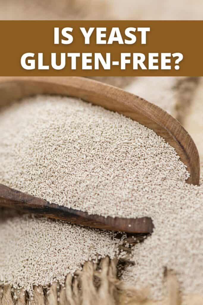Is Yeast GlutenFree? (It Depends!) Meaningful Eats