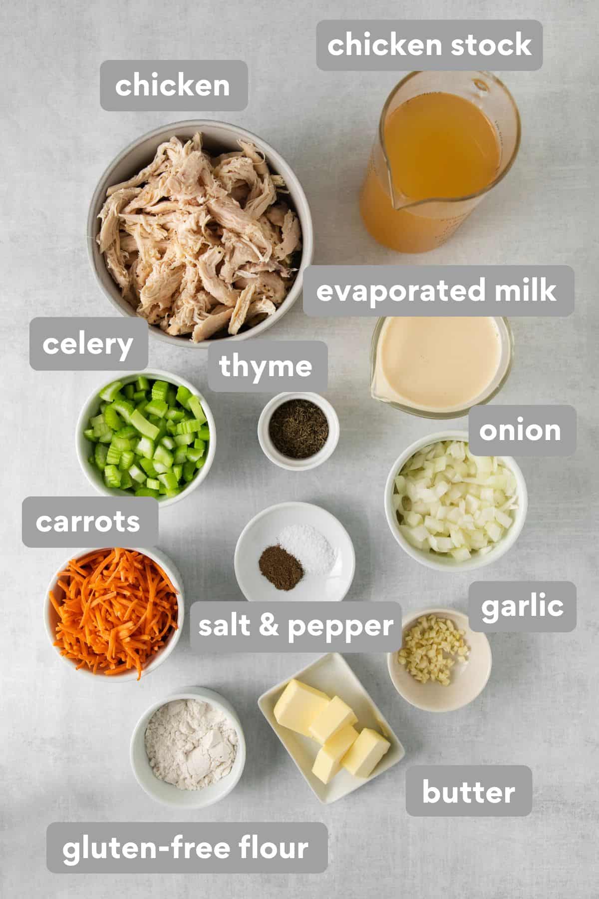 Chicken and dumpling ingredients on a countertop