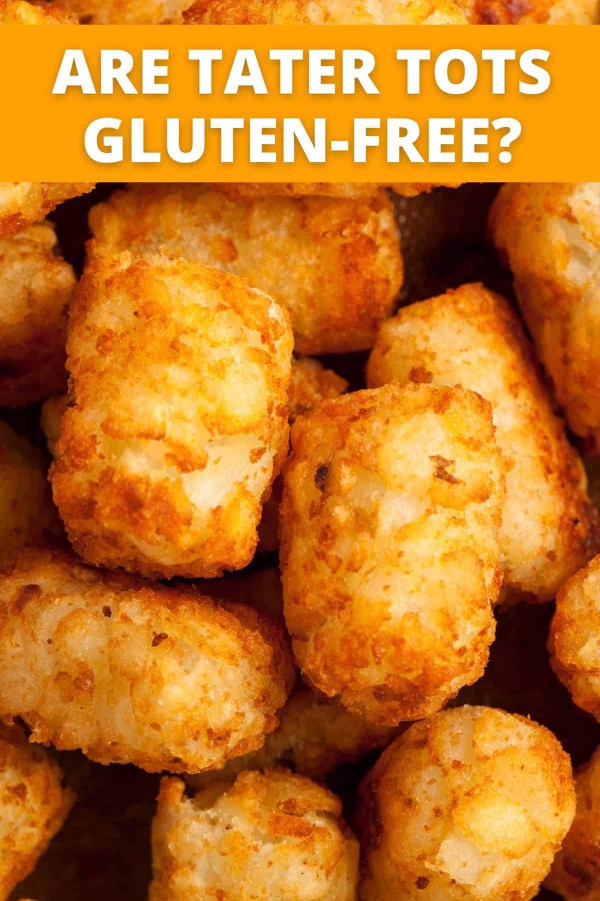 close up image of baked tater tots with text overlay saying "are tater tots gluten-free?"