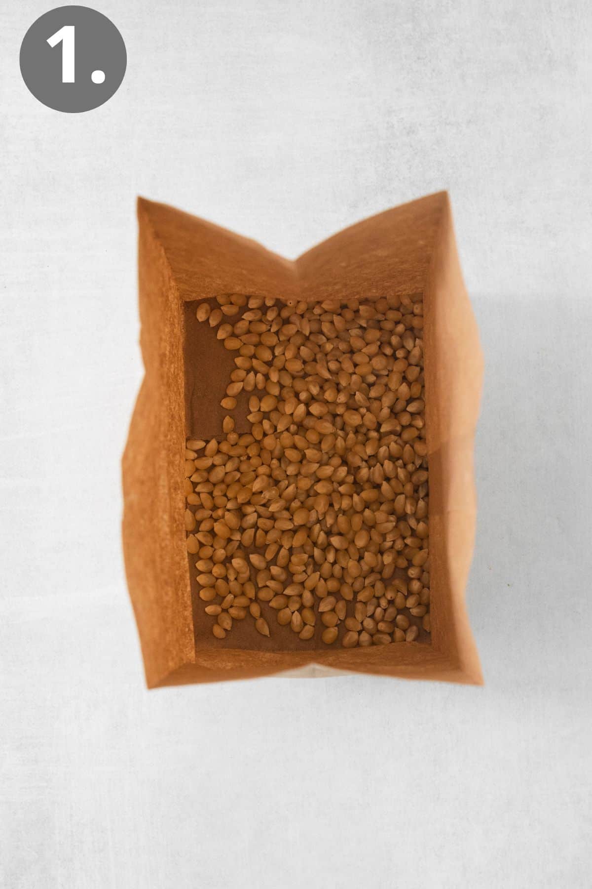 Popcorn kernels in a brown bag