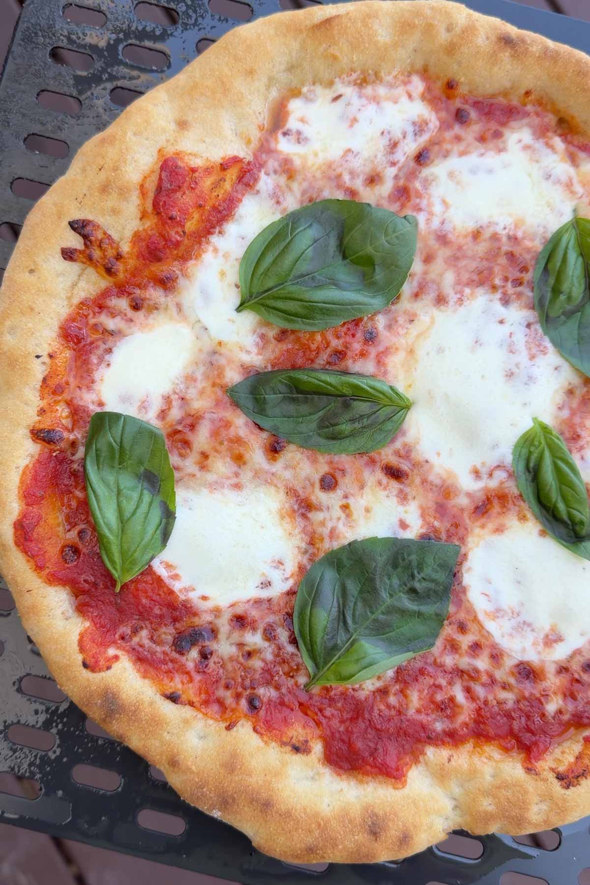 a close up of artisan pizza topped with cheese and basil.