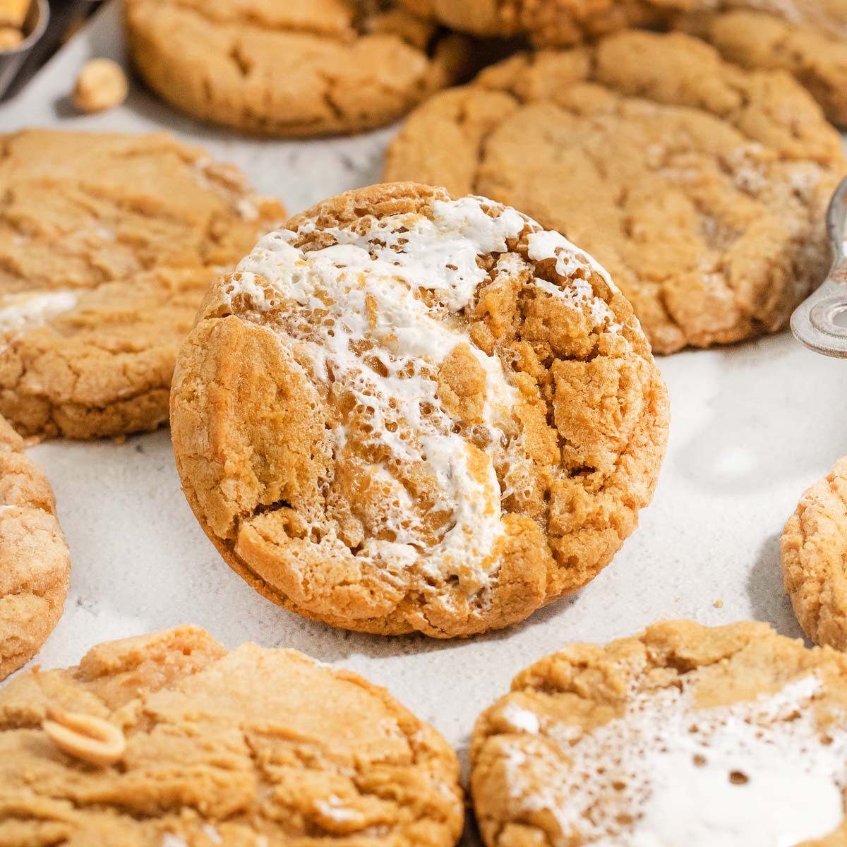 Gluten-Free Fluffernutter Cookies