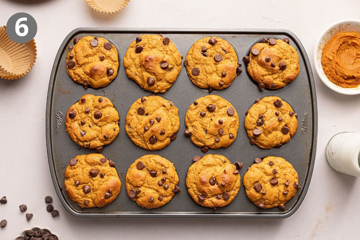 A muffin tray filled with twelve baked pumpkin protein muffins sits on a countertop, surrounded by chocolate chips, an empty muffin liner, a bowl of pumpkin puree, and a bottle of milk.