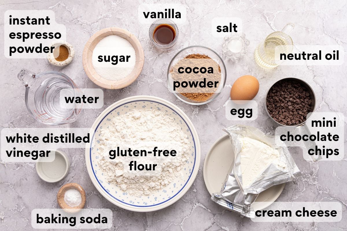 Ingredients for a recipe arranged on a marble surface, including gluten-free flour, cocoa powder, sugar, water, neutral oil, an egg, cream cheese, chocolate chips, vinegar, vanilla, espresso powder, baking soda, and salt.