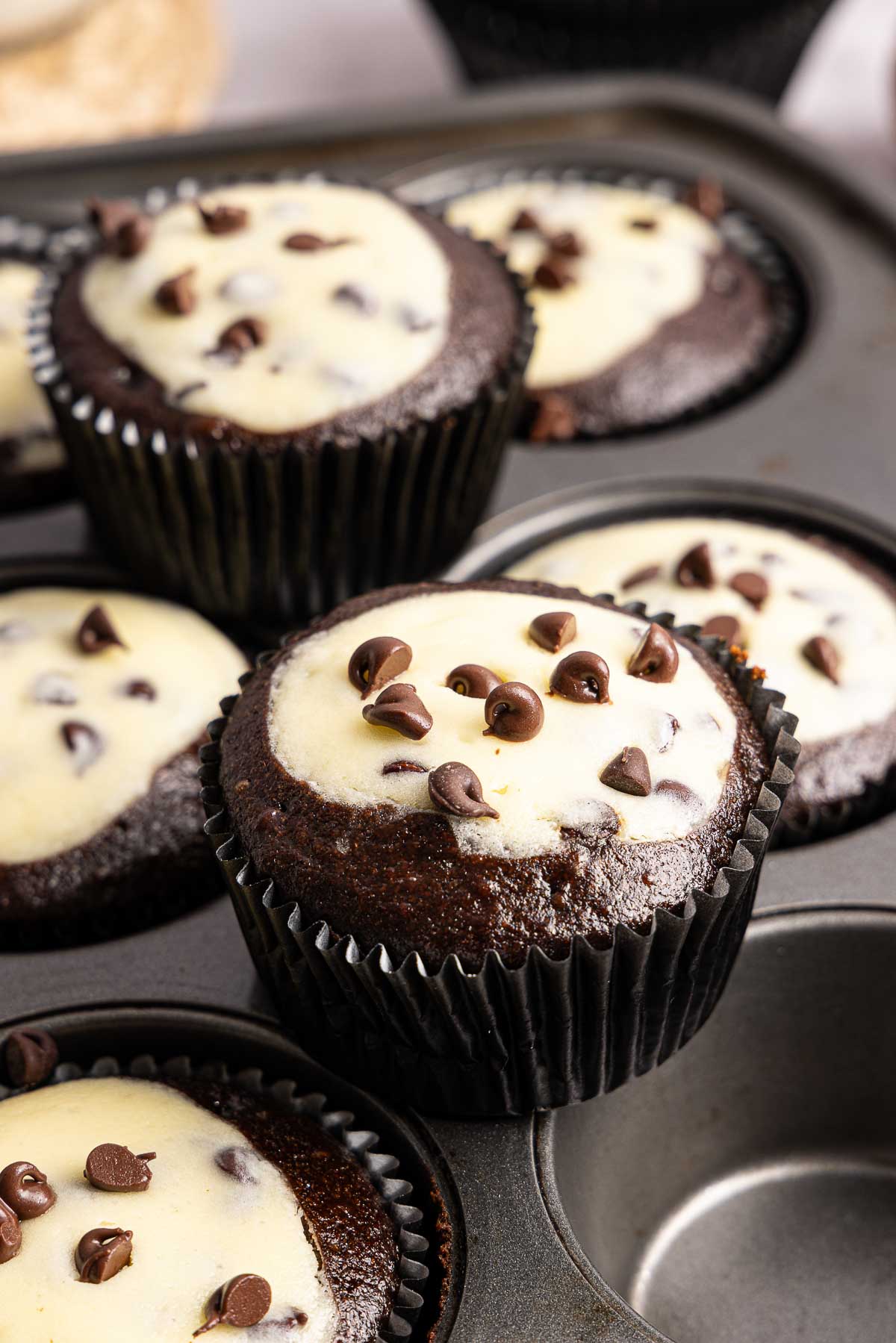 Chocolate black bottom cupcakes with cream cheese centers topped with chocolate chips in a muffin tin.